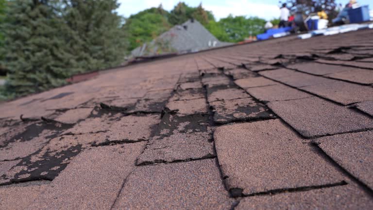 Best Cold Roofs  in Cloverdale, CA